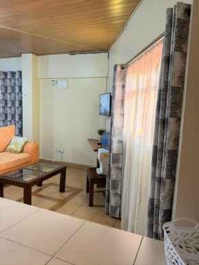 Penthouse Studio Apartment